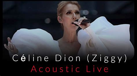 celine dion ziggy meaning.